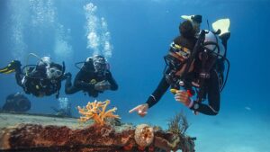 PADI Divemaster