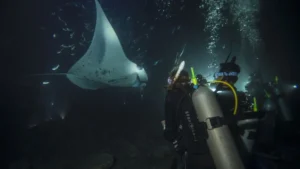 PADI Night Diver